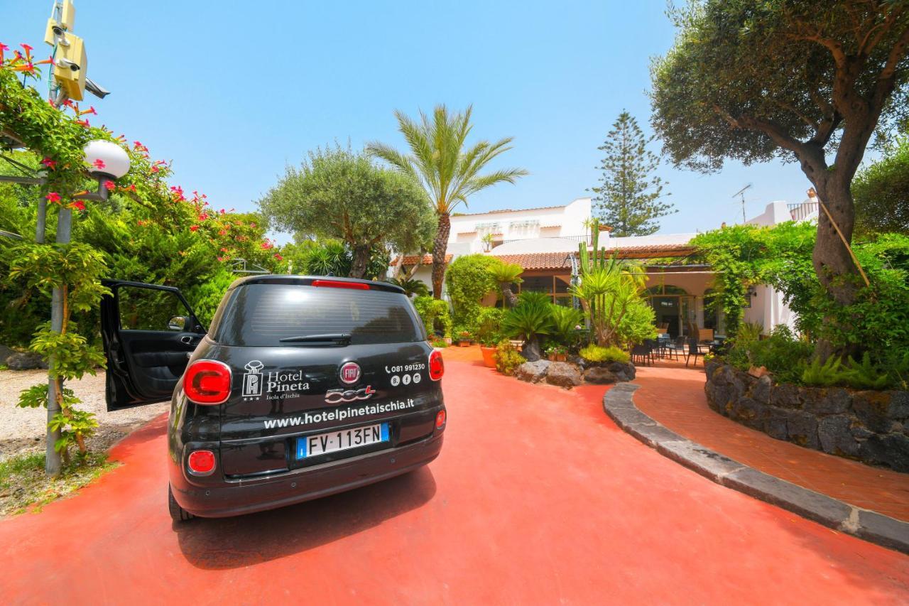Hotel Pineta Ischia Exterior photo